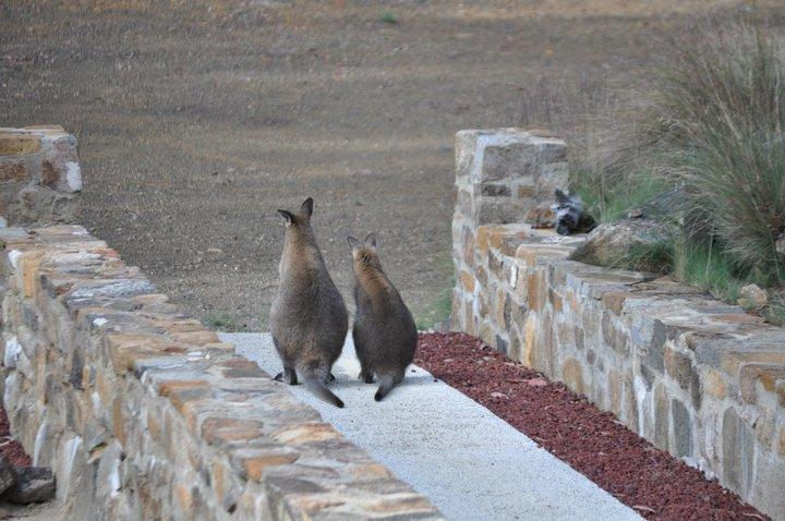 Blue Lake Lodge Steppes Luaran gambar